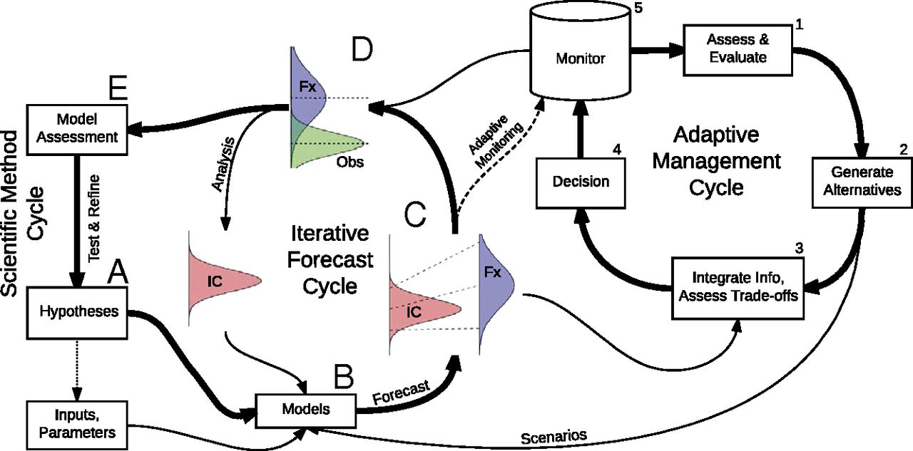 Conceptual relationships between iterative ecological forecasting, adaptive decision-making, adaptive monitoring, and the scientific method cycles [@Dietze2018].
