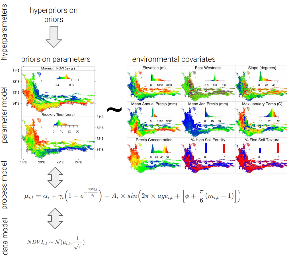Schematic of the Hierarchical Bayesian model of postfire NDVI recovery developed by @Wilson2015.