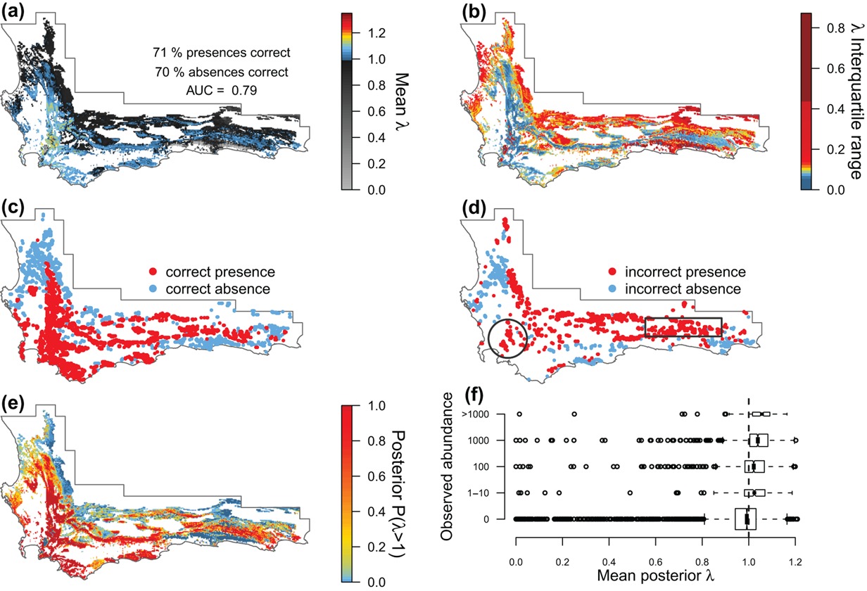 Model evaluation of the predicted population growth rate ($\lambda$) and distribution of _Protea repens_ across the CFR. (a) Mean $\lambda$ and (b) interquartile range of $\lambda$. (c–d) Evaluation of (a) using presence/absence data. (e) Posterior probability that $\lambda$ > 1, representing a viable population. (f) Evaluation of (a) using ordinal abundance data. Figure from @Merow2014.