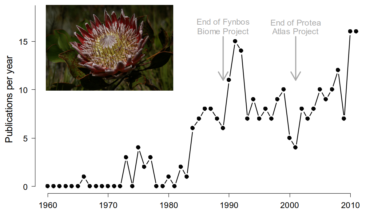 Temporal dynamics of publications on South African Proteaceae based on a Web of Science search on 13 June 2012. Figure from @Schurr2012.