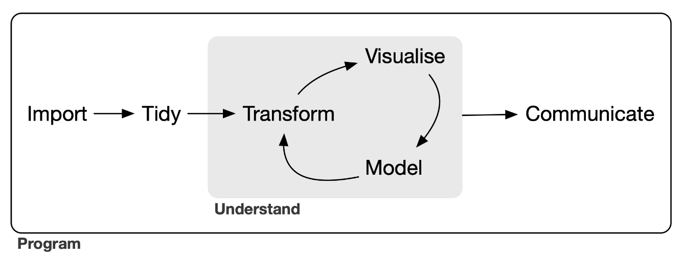 The core components of most data analysis workflows (Wickham et al. 2019).
