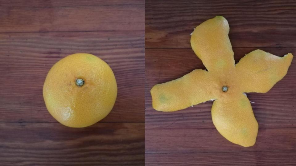 How many different ways could you flatten a naartjie peel?